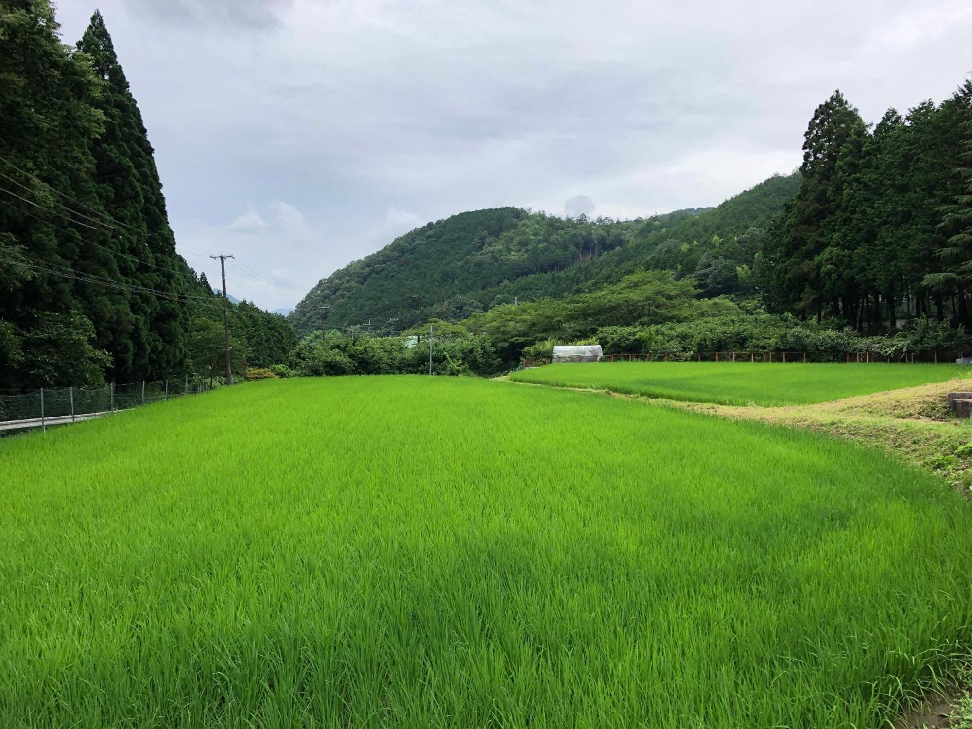 Satoyama Hotel Kanenone Tamba Maibara Ngoại thất bức ảnh